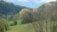 Gite du Paradis - Chambres d'hôtes Vieuzos