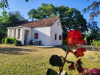 Old house - B&B Nikšić