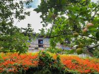La Curuxa - Bed and Breakfast Santa Rosa