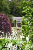 La Golette - B&B Durbuy