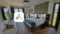Amelie Apartments - B&B Boží Dar