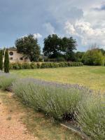 Mas des Lavandes avec vue & Piscine en Provence, 15 min des gorges du Verdon VAR - Bed and Breakfast Tavernes
