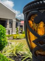 PINK POUI Spaces Vacation Rentals - B&B Arima
