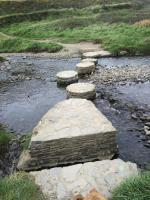 Home from Home B&B - B&B Hartland