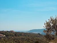 Vitis Verde - B&B Arnasco