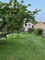 Villa Henrita im Elsass - Chambres d’hôtes Haguenau