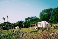 Knoll View Glamping Tent - B&B