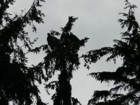 Sheltered Nook On Tillamook Bay - B&B Bay City