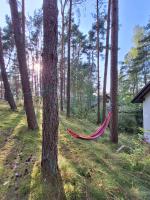 Cudnie tu - Borsk - B&B