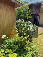 Casa Walser Quarten - CharmingStay - B&B