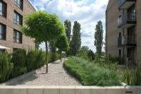 Apartment Venus Q4Apartments - B&B Danzica