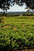 Herdade do Gamito - B&B