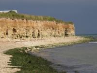 La maison du bonheur - Ferienwohnung Lion-sur-Mer