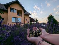 Pensiunea Teona - B&B Târgu Ocna
