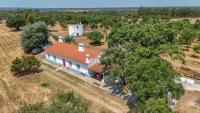 Alma Alentejo Villa - B&B