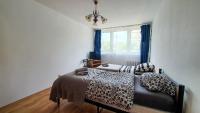Large Twin Room