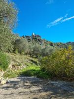 Le Jas - B&B Tourrette-Levens