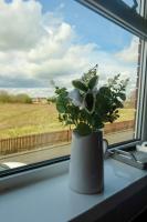 Rosemount Apartment - B&B Shildon