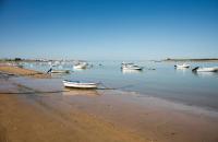 Misterhost Sanlucar Barrio Alto Bodegas - Chambres d’hôtes Sanlúcar de Barrameda