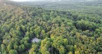 Stone Leaf Farm Private Nature Retreat with Pool, Waterfalls, Orchards & Gardens - Ferienwohnung Jefferson