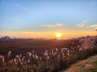 Great Hammock Getaway - B&B Old Saybrook