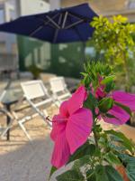 Doma Mare Athena - B&B Kontokáli