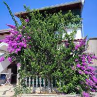 Apartments Vir Delfin - Bed and Breakfast Vir