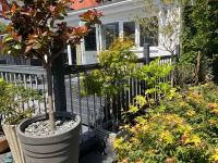 Casa con 1 dormitorio