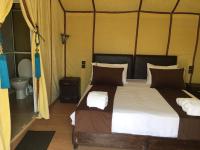 Desert camp nights camel ride - B&B Merzouga