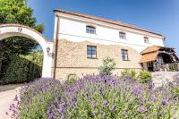 Penzion Horse Farm Lechovice - B&B Lechovice