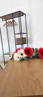 Casa Enrico - B&B Livorno