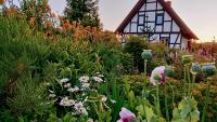 Podroże Chëcz - B&B