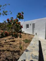 Apartment with Garden View