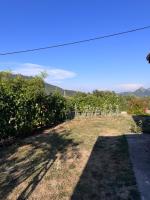 Rajkovic Stay Bukovik - B&B Bukovik