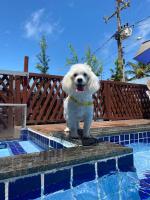 Casa no atalaia salinas PA - Bed and Breakfast Salinópolis