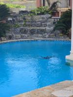 Exotic Paradise Guest House - B&B