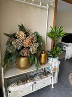 A Casa de Buxacos - B&B Arzúa