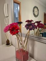 Bonito Apartamento Lua - B&B Villanueva de Arosa