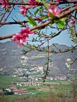 Villa Chiaromonte - B&B Vesime