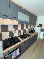 The Urban Hero Appartment - B&B Floreşti