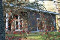 Rabamaja ja Rabasaun - B&B Kolga