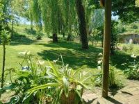 Molina house - B&B Cavarzere