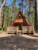 Domek w Ptasim Gaju - B&B