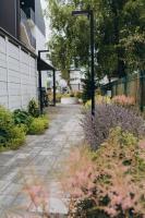 Apartament Szumiący Las - Bed and Breakfast Grzybowo