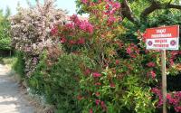 Willa BIM - B&B Rewal