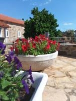 Casa Virginia Wellness House - B&B Ouzenda