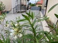 Landing Rooms Apartman - B&B Üllő