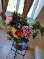 Apartment Douillet - B&B Saint-James