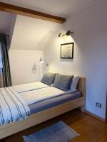 Villa Rusu - Ferienwohnung Cârţa