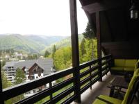 B&B Sinaia - Relaxing Balcony Apartment - Bed and Breakfast Sinaia